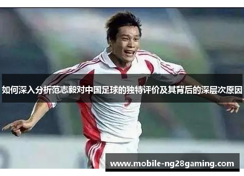 如何深入分析范志毅对中国足球的独特评价及其背后的深层次原因