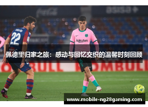 佩德里归家之旅：感动与回忆交织的温馨时刻回顾