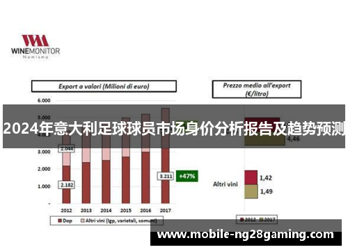 2024年意大利足球球员市场身价分析报告及趋势预测