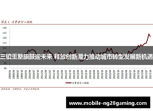 三镇重整旗鼓迎未来 释放创新潜力推动城市转型发展新机遇