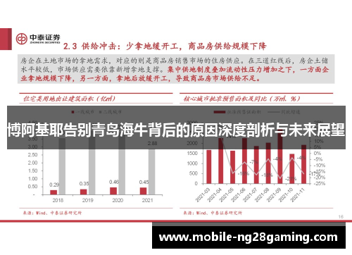 博阿基耶告别青岛海牛背后的原因深度剖析与未来展望