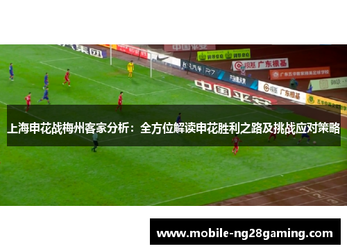 上海申花战梅州客家分析：全方位解读申花胜利之路及挑战应对策略