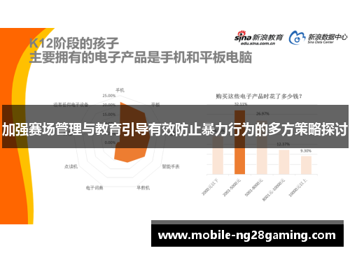 加强赛场管理与教育引导有效防止暴力行为的多方策略探讨