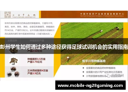 彭州学生如何通过多种途径获得足球试训机会的实用指南