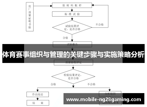 体育赛事组织与管理的关键步骤与实施策略分析