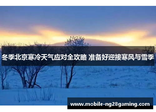 冬季北京寒冷天气应对全攻略 准备好迎接寒风与雪季
