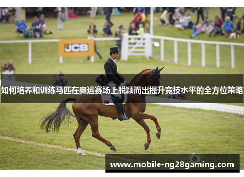 如何培养和训练马匹在奥运赛场上脱颖而出提升竞技水平的全方位策略
