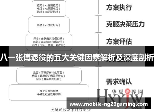 八一张博退役的五大关键因素解析及深度剖析