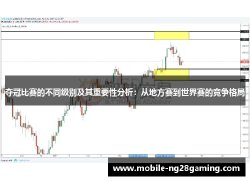 夺冠比赛的不同级别及其重要性分析：从地方赛到世界赛的竞争格局