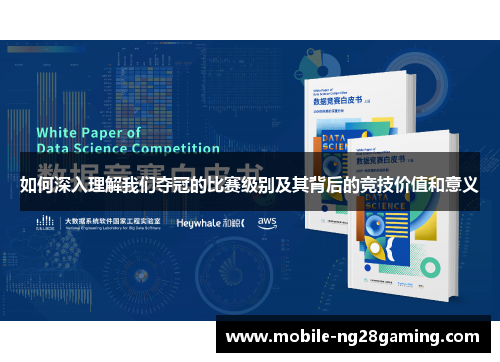 如何深入理解我们夺冠的比赛级别及其背后的竞技价值和意义