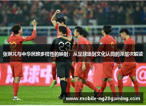张琳芃与中华民族多样性的映射：从足球场到文化认同的深层次解读