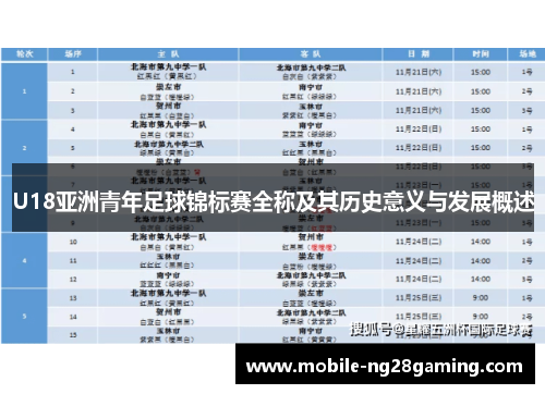 U18亚洲青年足球锦标赛全称及其历史意义与发展概述