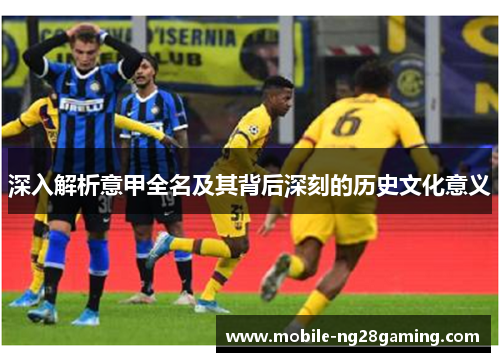 深入解析意甲全名及其背后深刻的历史文化意义