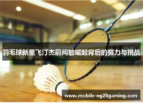羽毛球新星飞汀杰蔚阀敏崛起背后的努力与挑战 羽毛球新星飞汀杰蔚阀敏崛起背后的努力与挑战