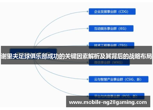谢里夫足球俱乐部成功的关键因素解析及其背后的战略布局 谢里夫足球俱乐部成功的关键因素解析及其背后的战略布局