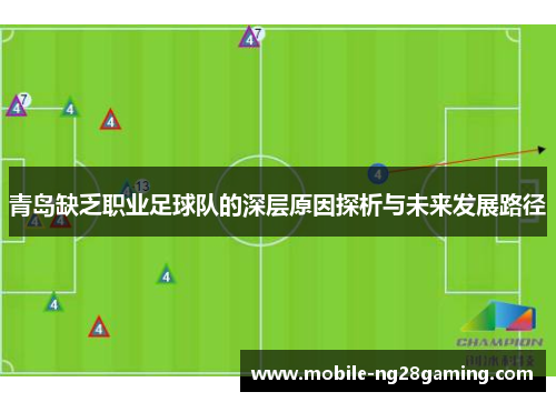 青岛缺乏职业足球队的深层原因探析与未来发展路径 青岛缺乏职业足球队的深层原因探析与未来发展路径